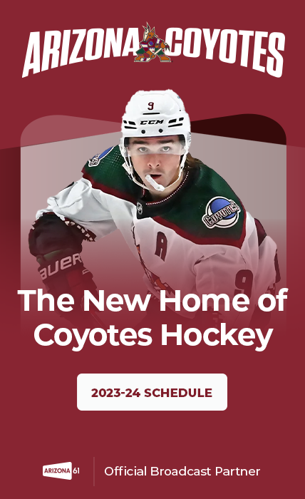 Coyotes Hockey Banner